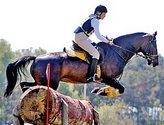 Соревнования по конному спорту принесут доход.