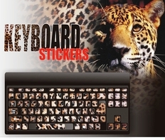 Моддинг корпуса клавиатур при помощи наклеек с оригинальным дизайном.